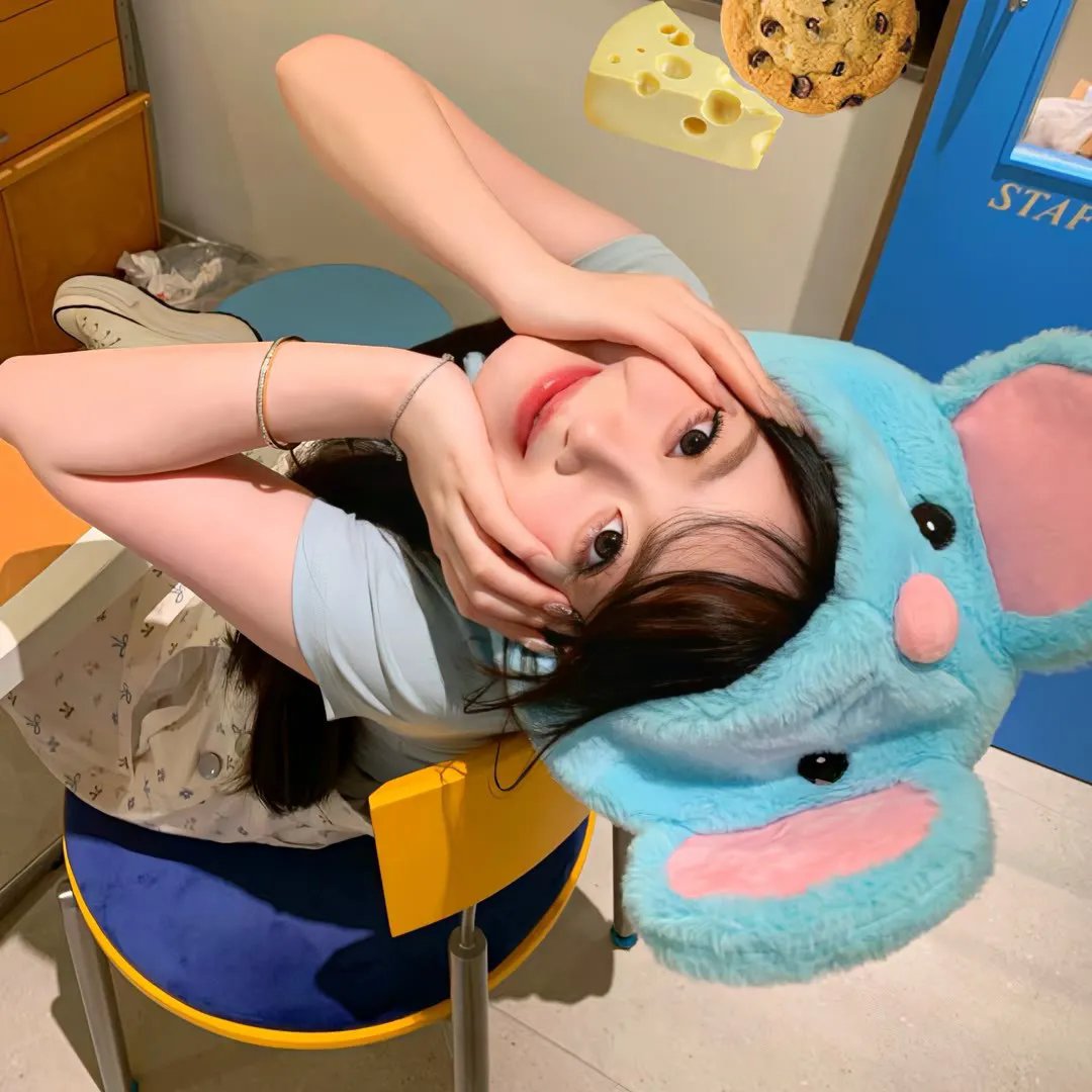 生而为狗我很幸福